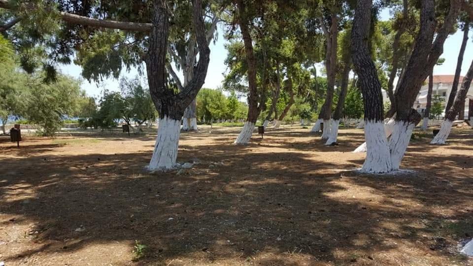 Ενοικιαζόμενα Δωμάτια Πιτσαδιώτη Кьятон Экстерьер фото